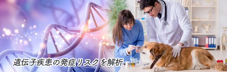 犬の遺伝子検査とは