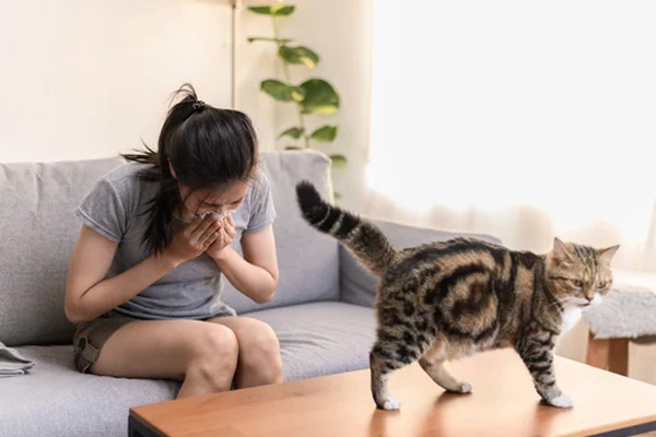 猫アレルギーへの対策7選｜主な症状や検査方法についても紹介