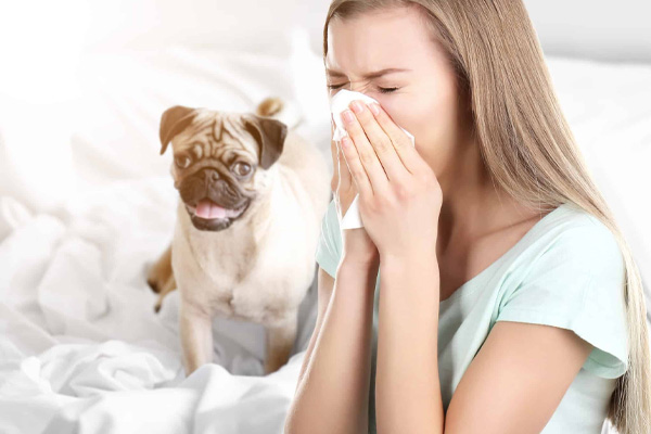 犬アレルギーの原因・症状とは？確認方法や対処法も紹介