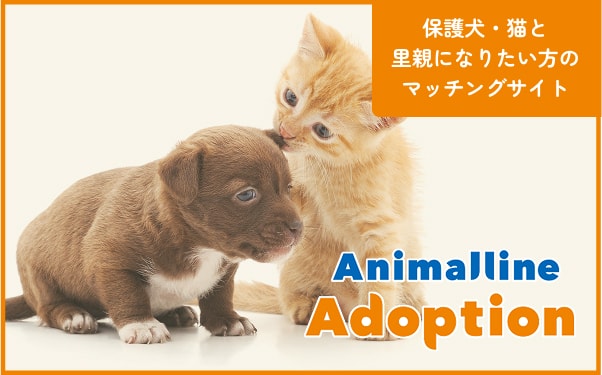 保護犬・猫と里親になりたい方のマッチングサイト