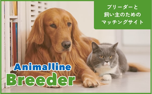 犬・猫ブリーダー直販サイトのアニマルライン