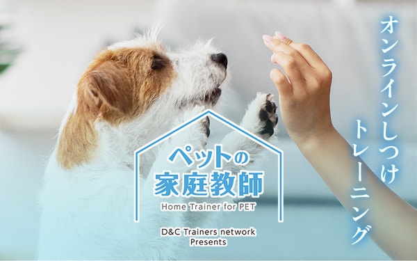 ペットの家庭教師