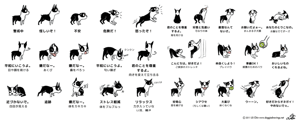 犬の行動チャート(犬語)