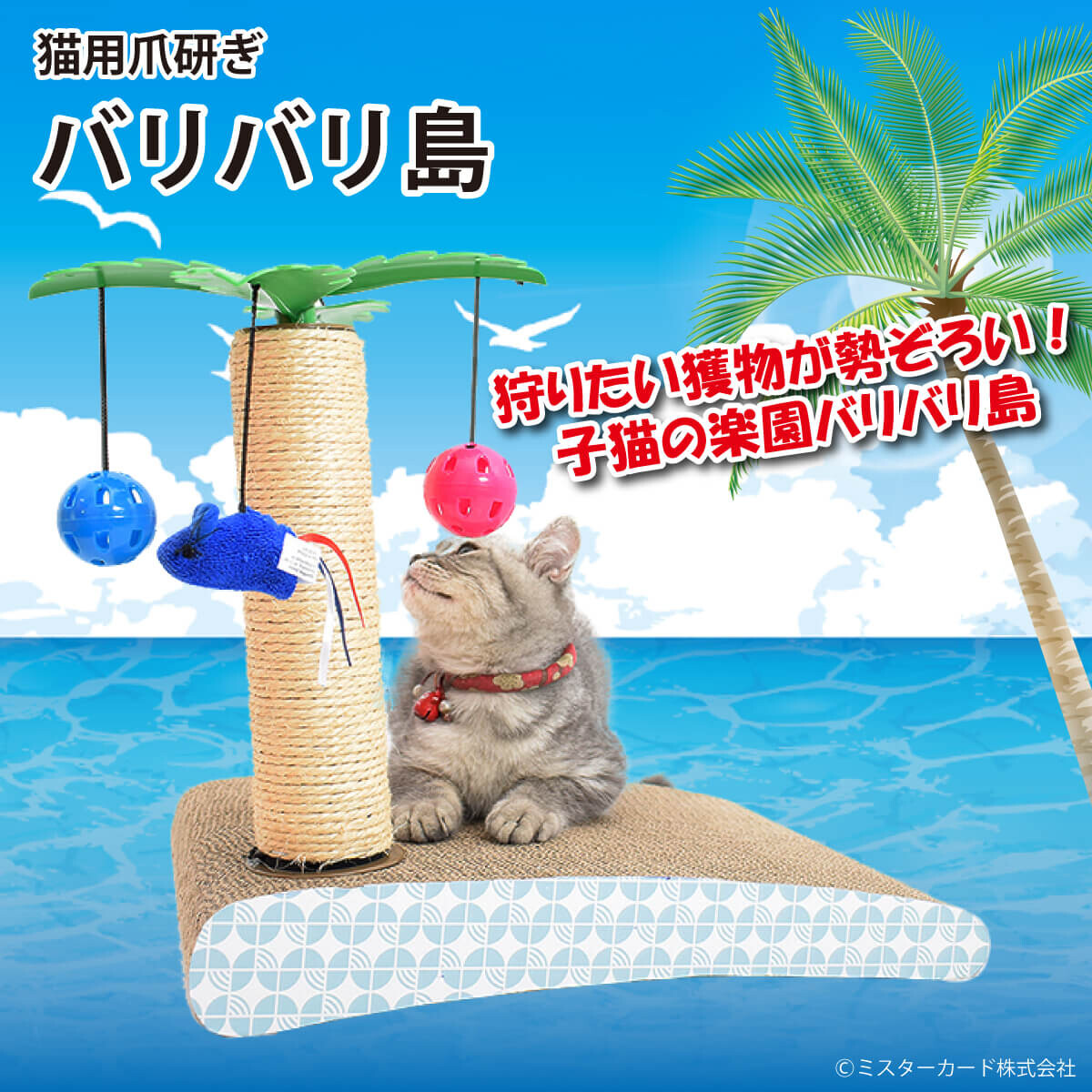 狩りたい獲物が勢ぞろい！子猫の楽園！バリバリ島
