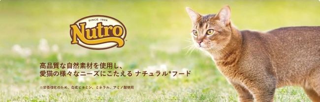 高品質な自然素材を使用し、 愛猫の様々なニーズにこたえる ナチュラルフード