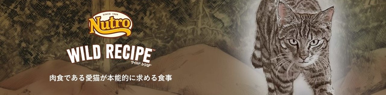 肉食である愛猫が本能的に求める食事