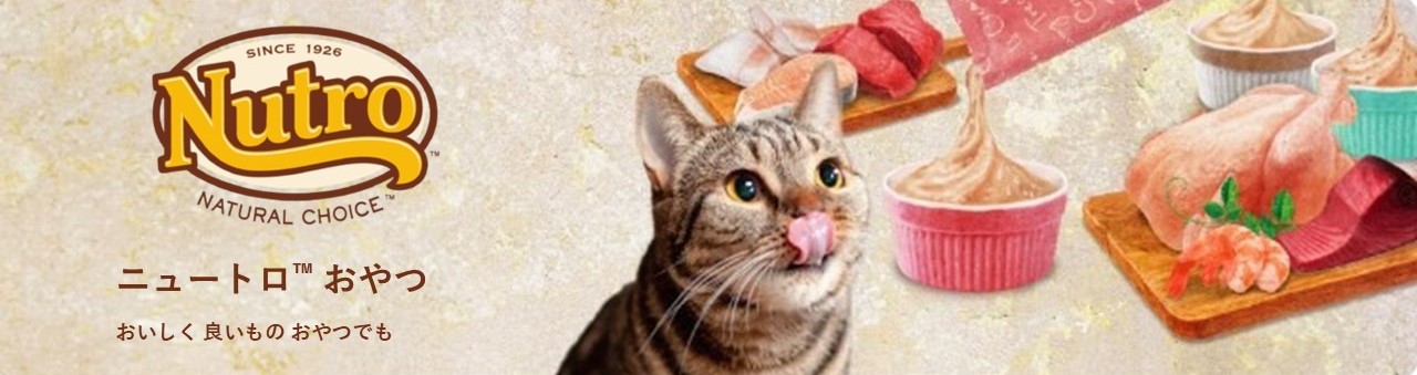 おいしく 良いもの おやつでもさ